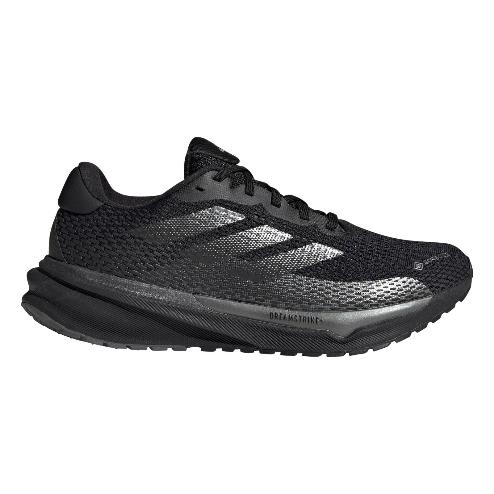 书15 ADIDAS TERREX AGRAVIC GORE-TEX bėgimo batai