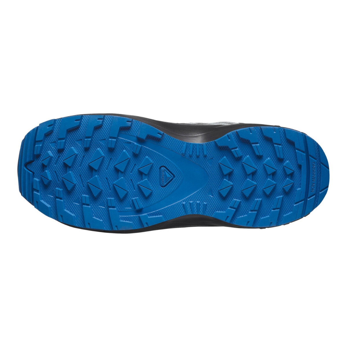SALOMON XA PRO V8 MID WATERPROOF SHOES ėjimo batai