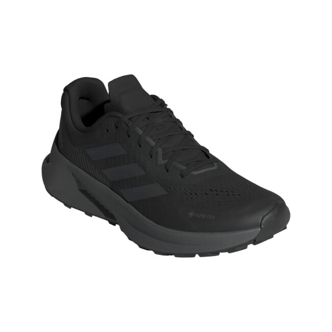 3/27中　TX ADIDAS MEN'S TERREX SOULSTRIDE FLOW GORE-TEX SHOES batai