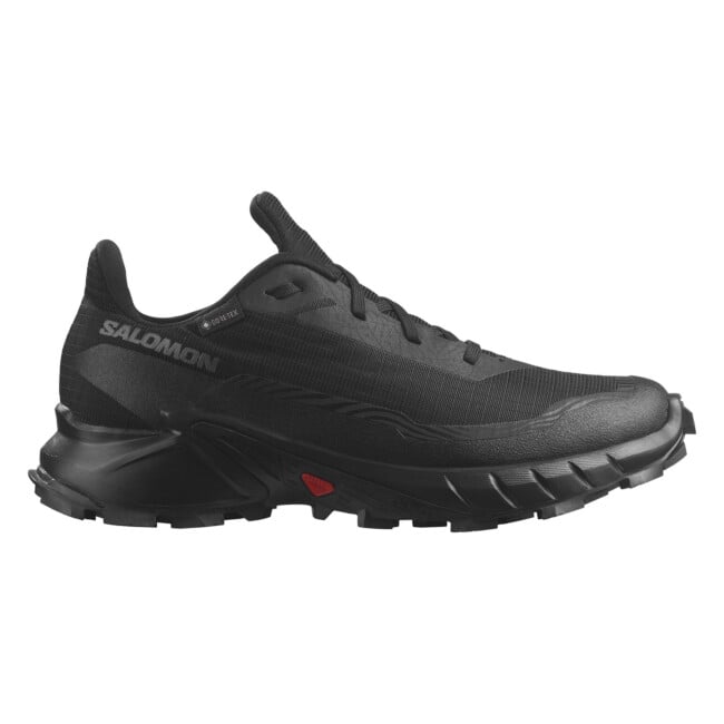 【激安大特価！】 SALOMON SHOES RUNNING TRAIL GORE-TEX 5 ALPHACROSS WOMEN'S 靴