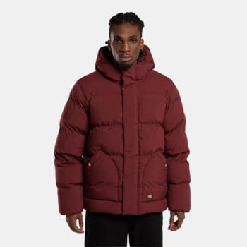 DICKIES EAGLEVILLE HOODED striukės ir parkos