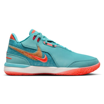 nike lebron all courts 4p