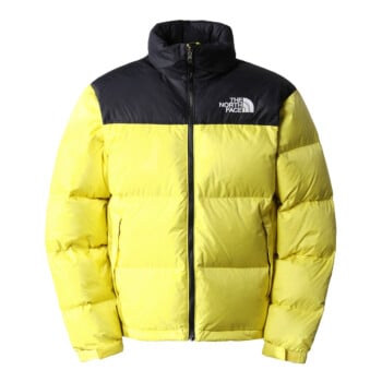 ジャケット・アウター TheNorthFaceMountainDownJacket Neutopes The North Face – SNKRS Vilnius Sneaker Store