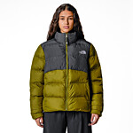 ジャケット・アウター STANDARD JACKET THE NORTH FACE STANDARD THE NORTH FACE WOMEN'S SAIKURU JACKET striukės ir parkos