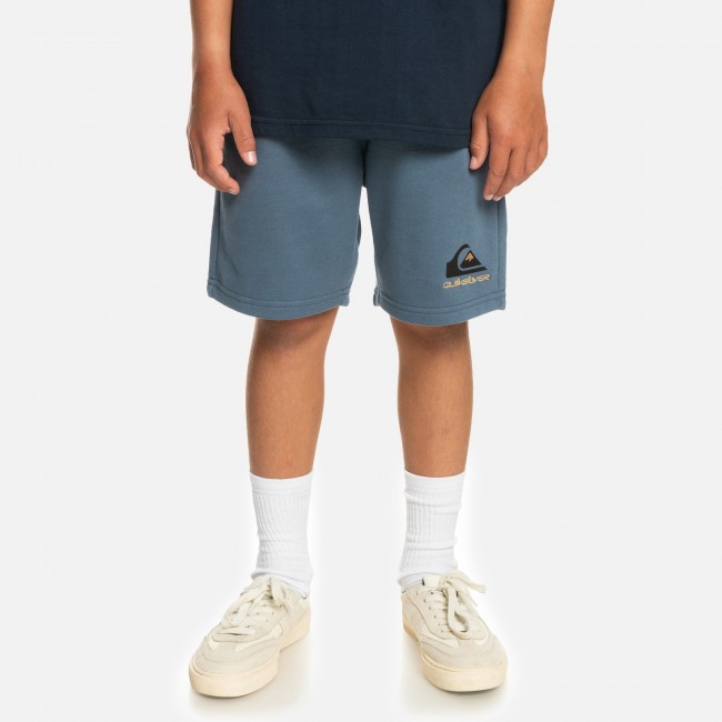 Quiksilver easy day trackshort sweat shorts for boys Šortai Pirk