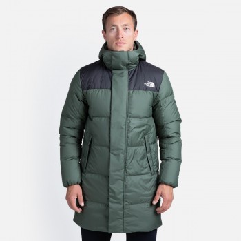 Striukės ir parkos | The north face 